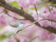 2014年涇陽大地原點(diǎn)至周至樓觀臺(tái)一日游